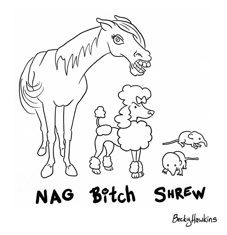 Nag, Bitch, Shrew